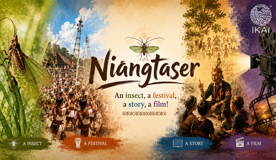 Niangtaser: An insect, a festival, a story, a film!
