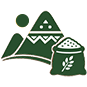 Tribal Collection