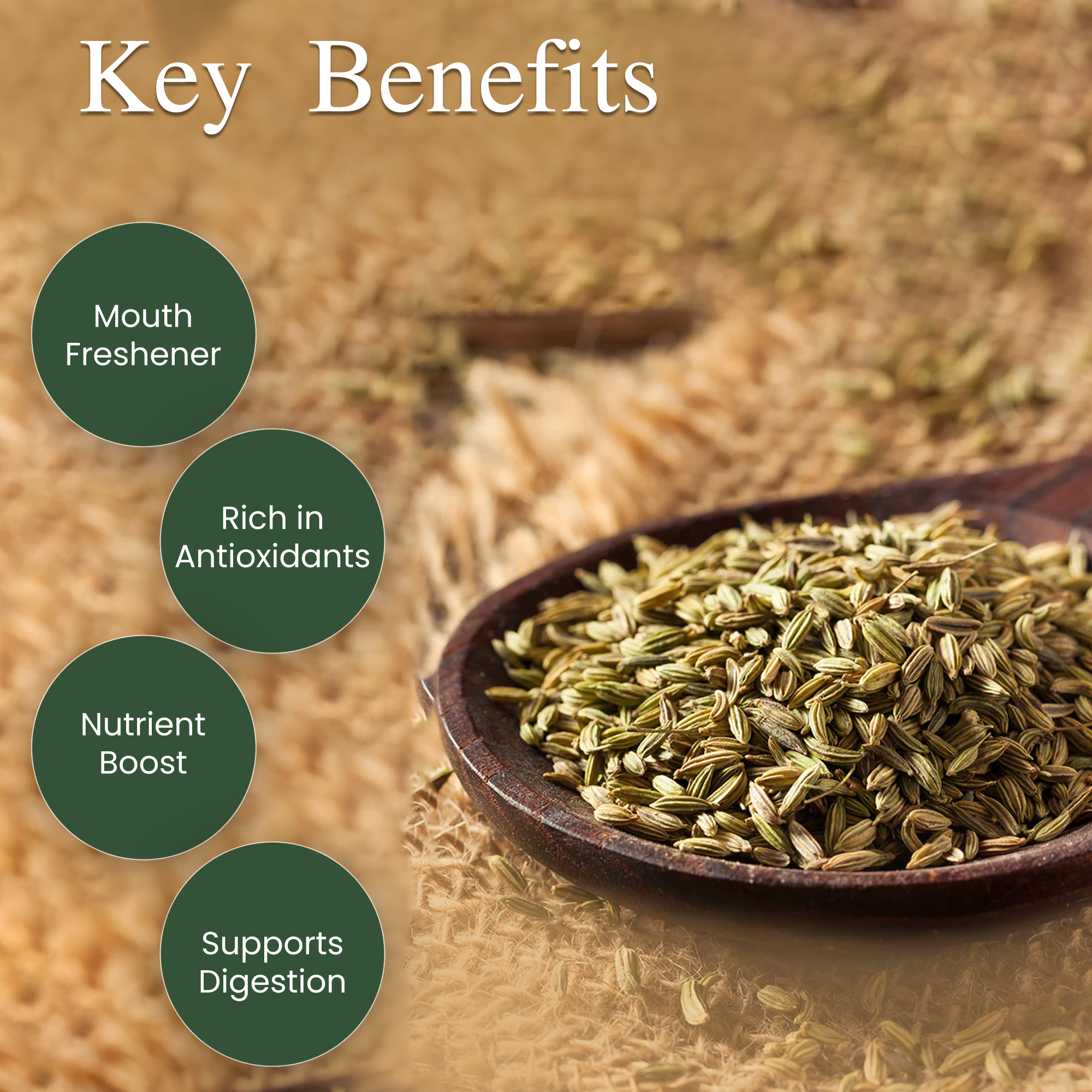 Organic Fennel Seeds | Saunf | Mouth Freshener | Aromatic Spice | 100g