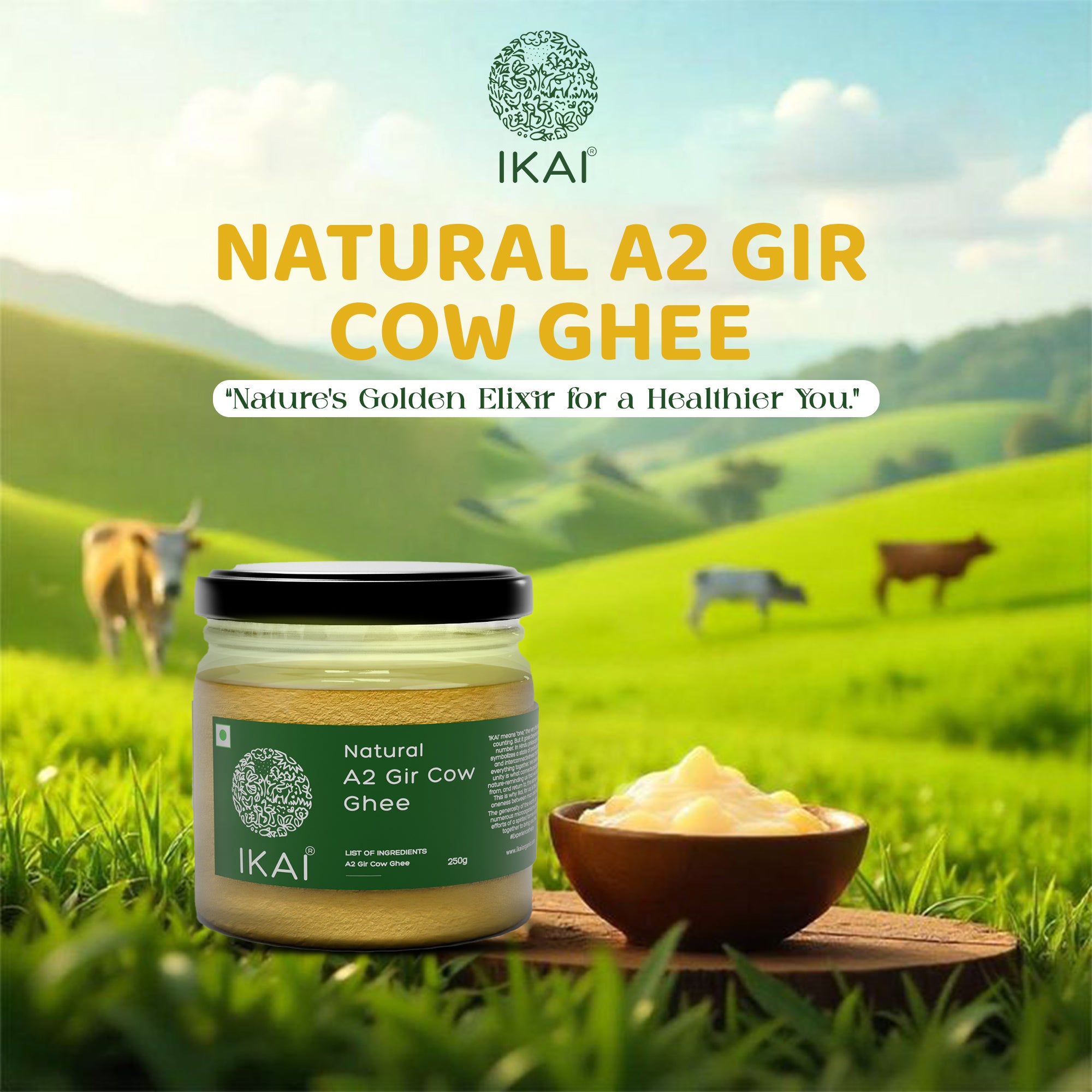 Natural A2 Gir Cow Ghee | Vedic Bilona Method | Curd Churned | 250g