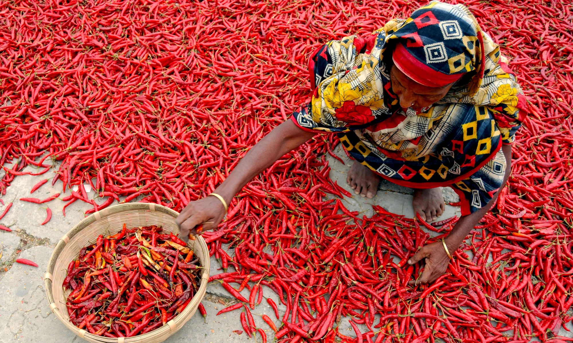 4 things you did not know about Chillies