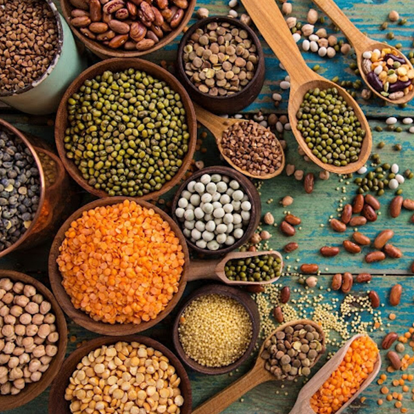 pulses varieties